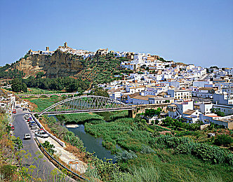 含羞草实验室隐藏路径2023：霓虹谜踪，赛博车手的幻影都市解密之旅