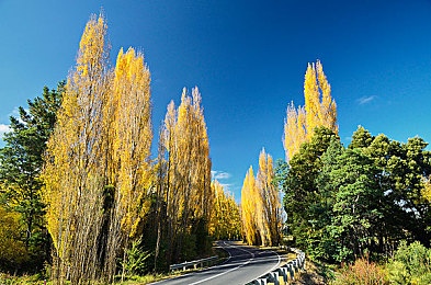 色情免费软件：霓虹城竞速风云，道德抉择与非法改装的未来狂飙-2