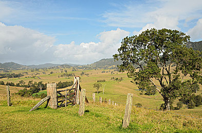 男人和女人差差轮滑鞋的软件：极速改装，街头轮滑赛车竞速新体验