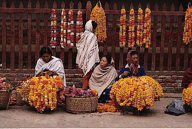 女性穿连体泳衣憋屎知乎:深海生存博弈,在窒息压力中挑战生理与心理极限-2