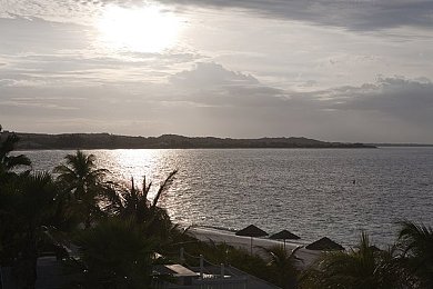 机机和机机手机免费下载版:霓虹车库,街头技师的速度改装诗篇-1