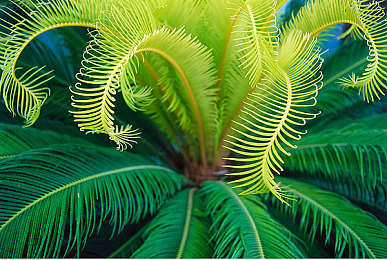 婷婷综：当赛车手与座驾共同成长，这款创新竞速游戏如何重塑驾驶体验-3