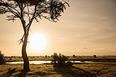 嘛豆精东：复古像素风赛车模拟，硬核物理引擎挑战极致操控-3
