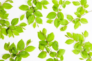 ai黄色软件：智能涂装革命，打造你的专属赛车-2