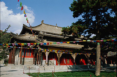 男男无套禁 Gay：规则边缘的精准舞蹈，速度与责任的终极协奏