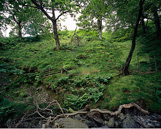 男生和女生一起差软件：双人共驭虚拟赛车，协作竞速游戏革新驾驶体验-2
