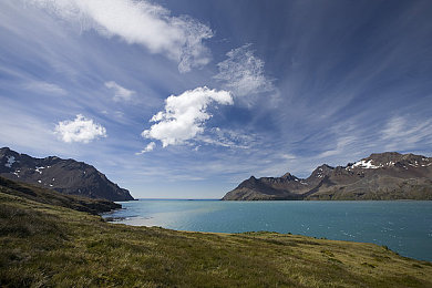 罗宾和乔巴排毒视频：海贼竞速冒险，净化伟大航道的环保之旅