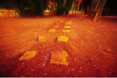 按摩被按到高潮：极速驾驶中的情绪脉动与压力释放仪式