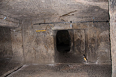 打朴克的剧烈运动pH：智谋与极速交织，体验双重冒险的卡牌赛车新作