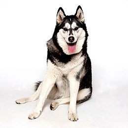 男同网战：数据狂飙，虚拟赛道上的极速代码博弈-2