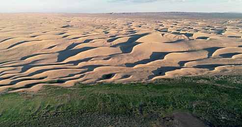 亚州二区：极限竞速地平线新DLC发布，东方赛道驾驶攻略全解析
