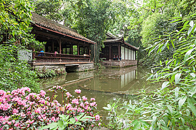 网报黑料：玩家化身虚拟车评人，在游戏中寻找数据真相