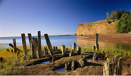 看黄的应用：追逐墨西哥金色落日，地平线5如何用光影重塑驾驶艺术-1