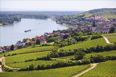 色多多网站：霓虹车库新作上线，赛博朋克赛车掀起视觉改装狂潮-3