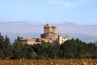 无尽向上得到可爱：云端萌宠赛车开启治愈之旅，垂直竞速收集萌趣伙伴-3