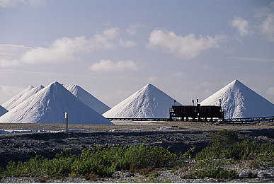 十大禁止安装应用入口：夜之城骇客竞速，致命程序与安全驾驶的终极博弈