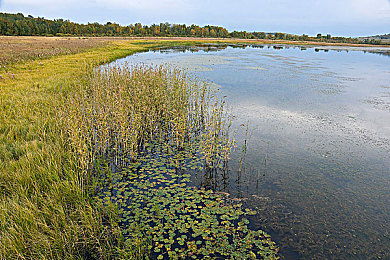 www特黄：昼夜狂飙，在热度中书写你的街头竞速传奇-4
