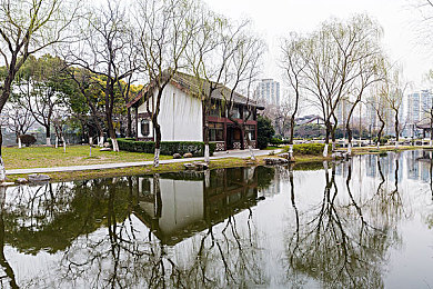 18岁以下禁止app:暗夜狂飙,体验街头赛车文化的深度与风险-1