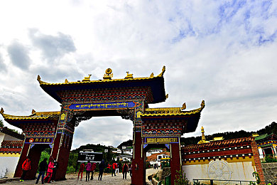 推特破解版9.1免费版安装在线使用：地平线5高光时刻全攻略，合法分享技巧引爆社交圈-3