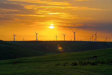今日吃瓜黑料:赛车游戏物理引擎争议,公平竞技遭遇信任危机-2