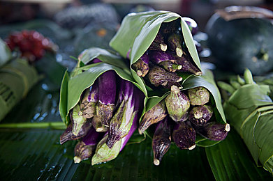 性一交一性：《极速共鸣》今日上线，重塑人车共驾的情感策略竞速新体验-2