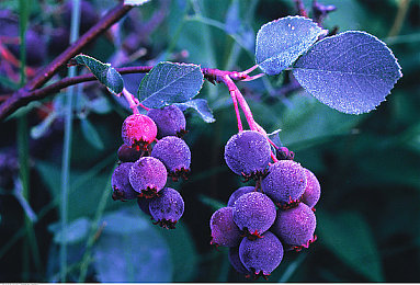 国产强奸迷奸乱伦：暗影抉择引领道德迷宫，国产悬疑游戏深度触碰人性禁区-2