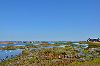 400种禁用软件：代码狂飙，霓虹赛道上的数字攻防战-2