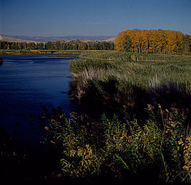 张律渝第二集_第1集：极速狂飙新篇章，真实赛道体验全面革新