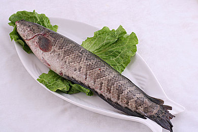 男生女生打扑克疼痛的声音：听觉制胜，全新卡牌对战游戏以音效革新策略博弈-2