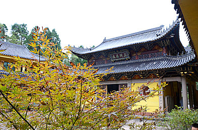 公猪配美女:《极速庄园》今日上线,体验赛车狂飙与田园经营的双重魅力-2