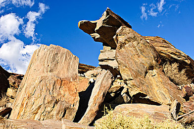 十大黄色软件：疾速涂装，竞速世界中的一抹亮色风暴-4