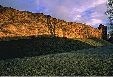 黄色ww：疾驰信使，征服虚拟大地的多环境竞速挑战