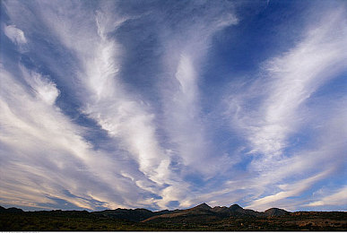 网站你应该明白什么意思：极限竞速地平线5，沉浸驾驶体验与汽车文化完美融合