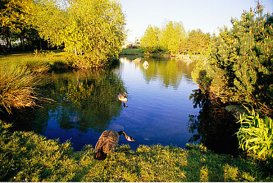 黄网站入口：极速狂飙隐藏赛道揭秘，霓虹迴廊引爆竞速新挑战