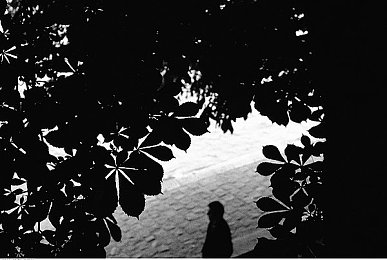 机机和机机手机免费版2023:钢铁速度,改装狂潮与未来赛道的终极对决-1