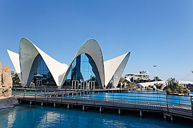 色叉叉：极速色谱，赛道幻变，视觉与操控的极限竞逐-1