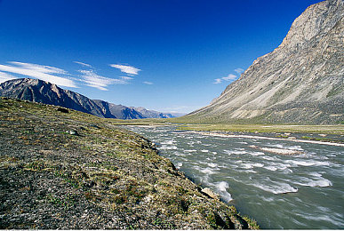 黄片软件大全下载：金色超跑终极收藏指南，打造你的梦想车库-2