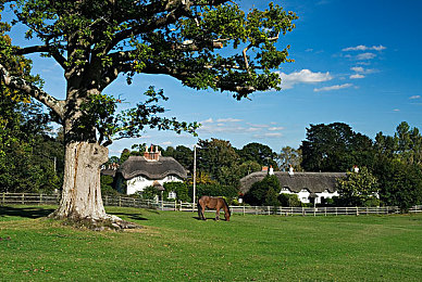 差差差app：极限边缘，驾驶艺术在失控与掌控间起舞-2