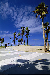 樱空桃的丈夫请原谅的背景故事：在记忆的弯道追赶逝去的微光-2