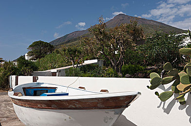 同性xxx:地平线5全新车队系统上线,与好友共赴墨西哥竞速之旅-3