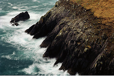 成人黄色APP:《极速狂飙:霓虹都市》正式上线,赛博朋克视觉革命引爆竞速游戏新潮流-3