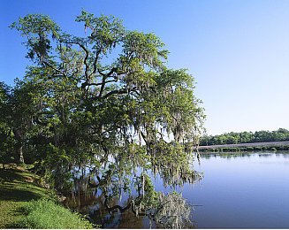亚洲Gv：霓虹都市夜飙，改装竞速与警匪追逐的街头传奇-2