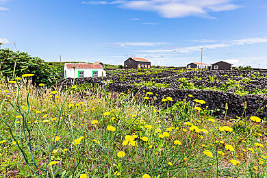 男孩把困困放在女生的困困里:双人解谜新作,用情感碎片拼凑治愈之旅-2