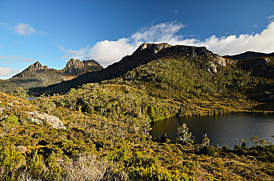 黄色软件安全下载：极限竞速地平线，个性化涂装安全获取全指南-3