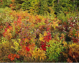 17吃瓜爆料大事件：地平线5隐藏车辆与赛道提前曝光，玩家社区挖掘未来更新内容-2