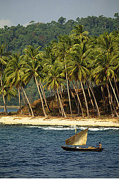 九九热1：硬核赛车新作今日上线，九连发卡弯终极挑战引爆竞速圈