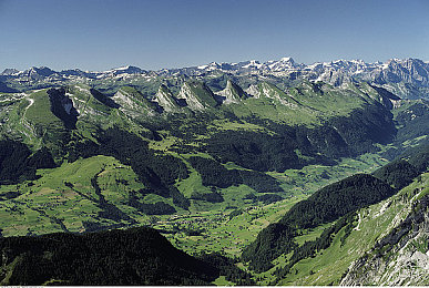 打扑克又痛又叫视频软件下载:疾速弯道,心跳失控的虚拟竞速艺术-3