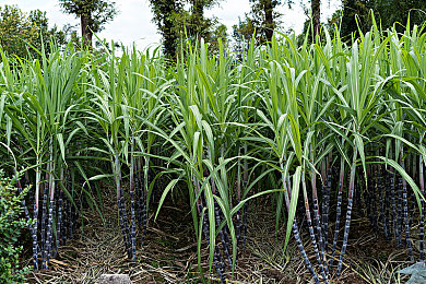 美女漏胸软件:《极速幻彩》今日上线,视觉改装系统引爆赛车游戏创意风潮-2