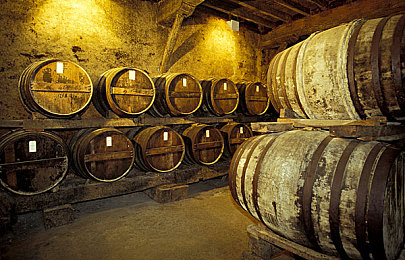 成人版抖音富二代：虚拟豪车帝国崛起，全新模拟驾驶游戏今日震撼上线-2