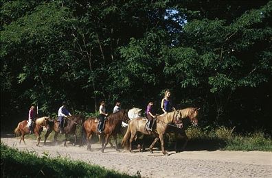 福利视频app导航网：驾驭地平线，畅游墨西哥移动汽车艺术长廊-2